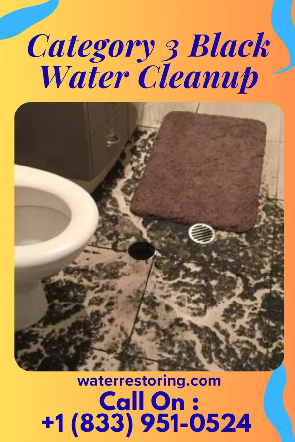 Category 3 Black Water Cleanup in Chattahoochee Hills, GA