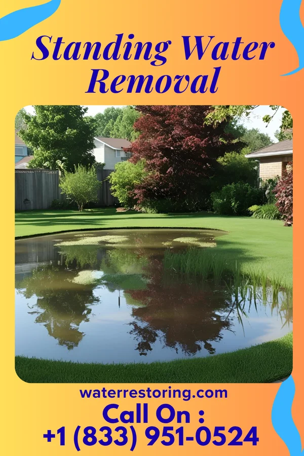 Standing Water Removal in Chattahoochee Hills, GA